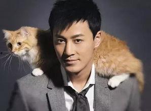 林峰近期爆料新闻事件,揭秘娱乐圈背后惊人真相  第3张